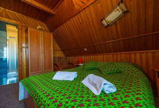 Отели типа «постель и завтрак» Apartamenty i Pokoje w Willi na Ubocy Сухе Стандартный двухместный номер с 1 кроватью-3